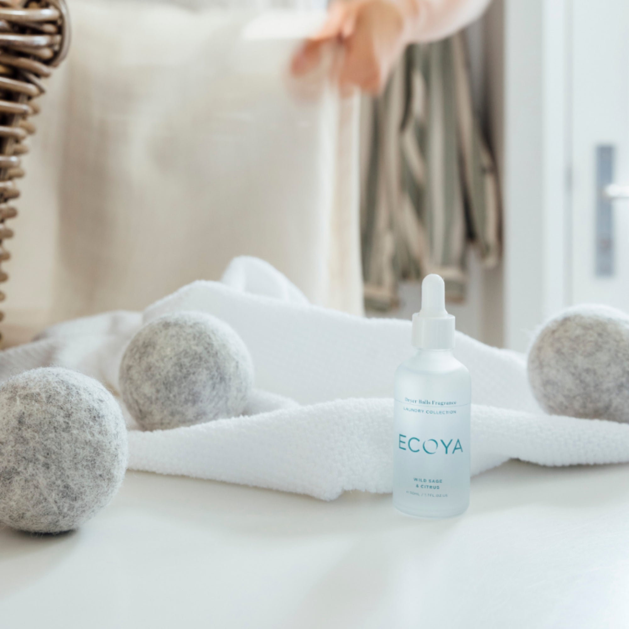 Ecoya Wild Sage & Citrus Laundry Bundle - Value Village