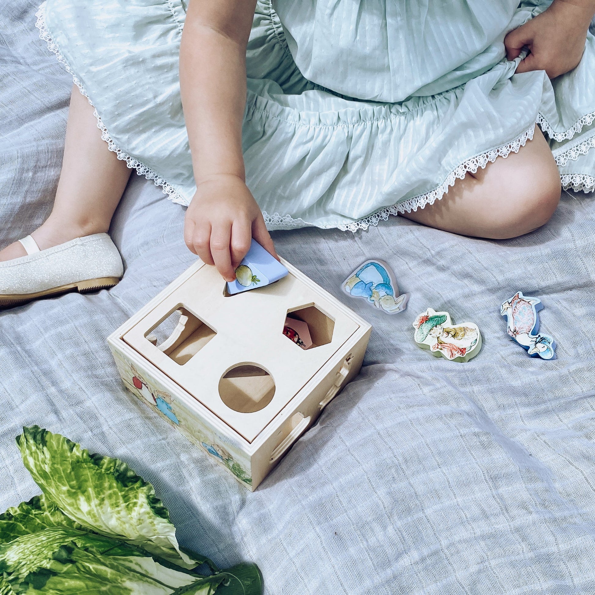 Peter Rabbit Wooden Shape Sorter - Value Village