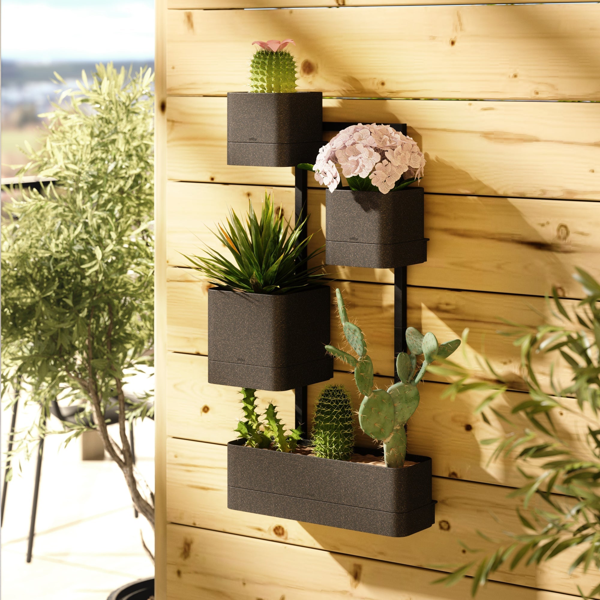 Umbra Cubiko Wall Planter - Black - Value Village